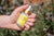 Photo of a white person's hand holding a yellow bottle of Maxerum against a blurred grey and green background